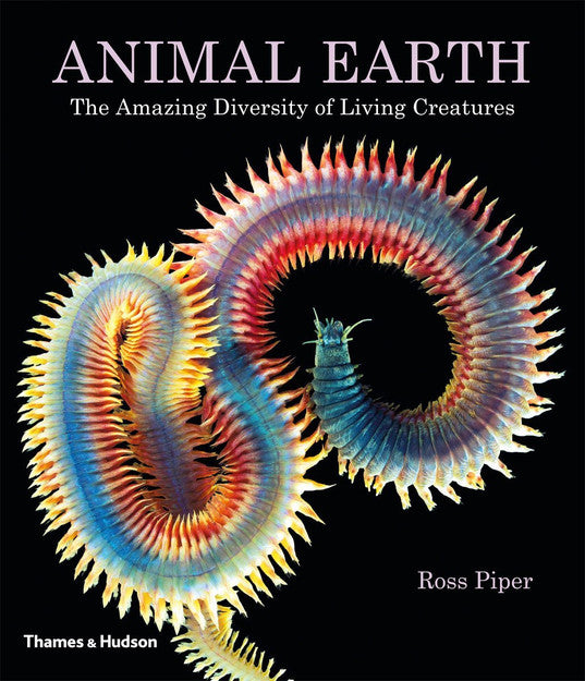 Animal Earth