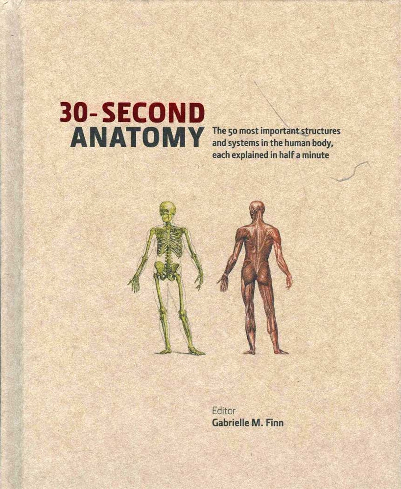 Anatomy 30 Second