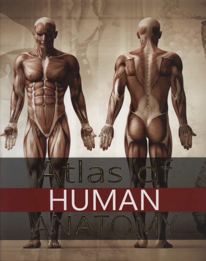 Atlas of Human Anatomy