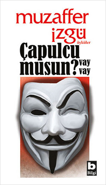 Çapulcu musun Vay Vay?