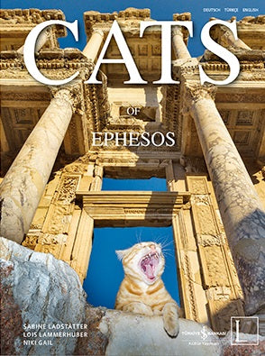 Cats of Ephesos