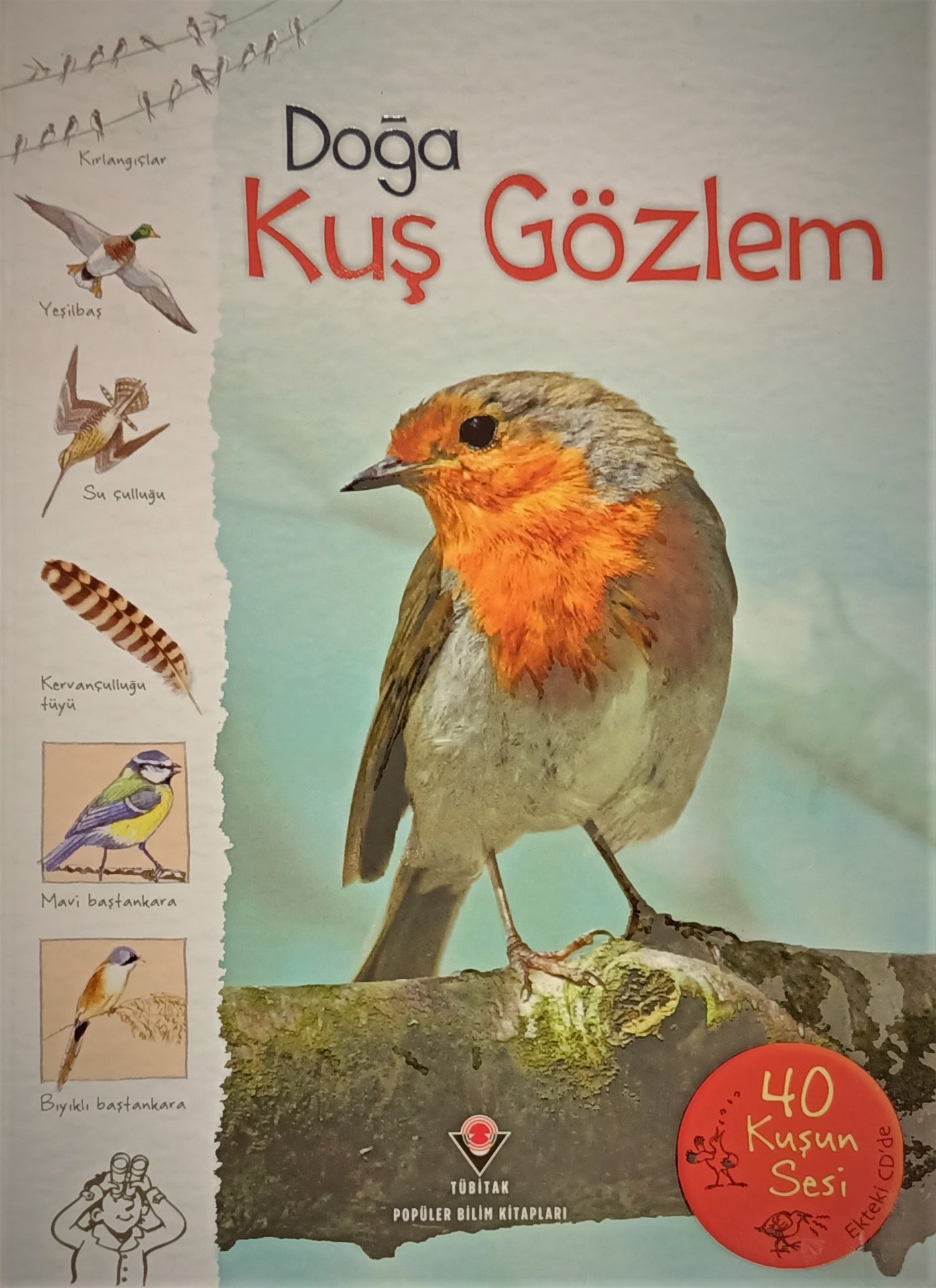 Doğa Kuş Gözlem