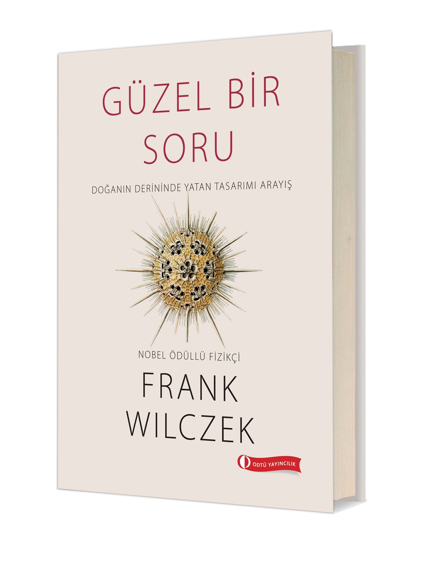 Güzel Bir Soru - Doğanın Derininde Yatan Tasarımı Arayış