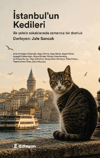 İstanbul'un Kedileri