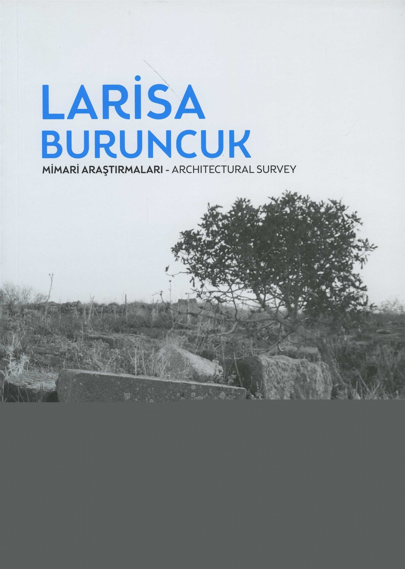Larisa Buruncuk Mimari Araştırmaları