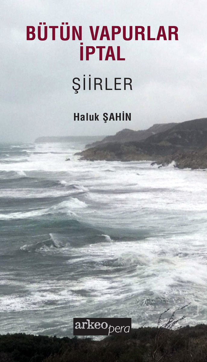 Bütün Vapurlar İptal - Şiirler 2