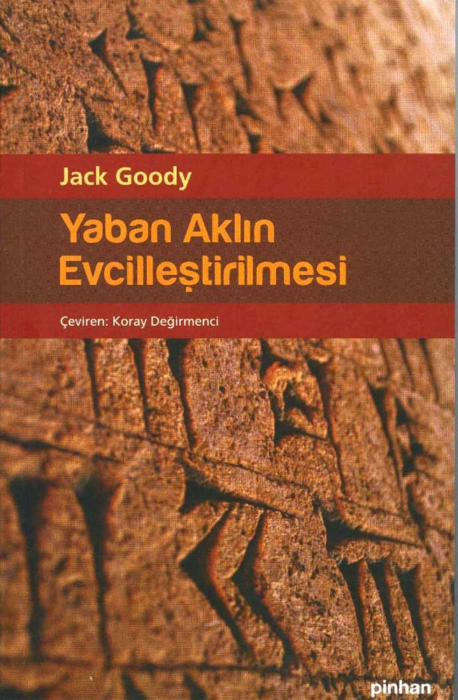 Yaban Aklın Evcilleştirilmesi