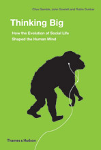 Thinking Big How The Evolution Of Social Life Shaped The Human Mind