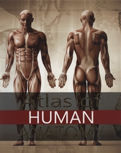 Atlas of Human Anatomy 