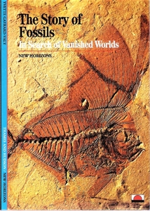 The Story of Fossils