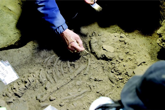 Vietnam’da ortaya çıkarılan 10.000 yıl öncesine ait insan kalıntıları