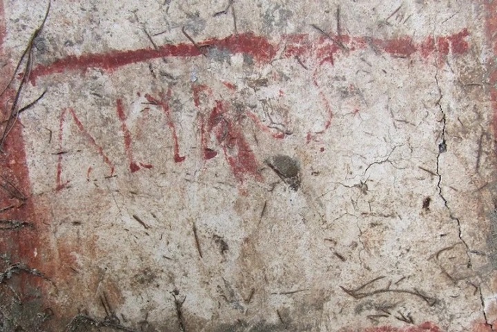 Pompeii’de İlk Defa Bir Evin İçinde Siyasi Slogan Bulundu