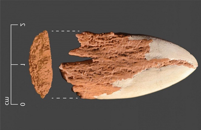 Amerika’da kemikten yapılmış en eski mızrak ucu