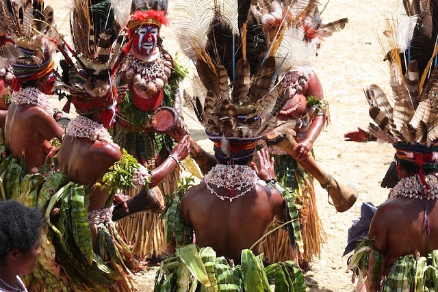 Papua Yeni Ginelilerin Denisovalı Genleri, Onları Sıtmadan Koruyor