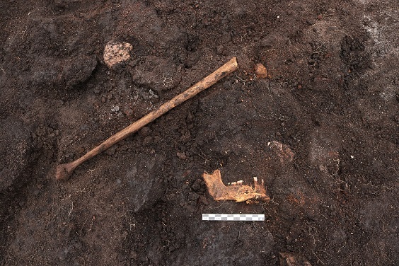 Danimarka’da 5000 yıl önce insan kurban edildiğine dair kanıtlar bulundu