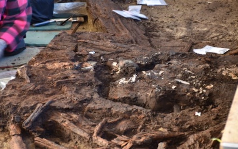 Almanya’da Mezolitik Kampta Bataklık Kemikleri Keşfedildi