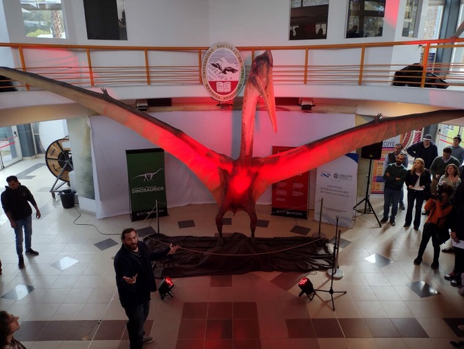 'Dragon de la mort' : un immense ptérosaure de 86 millions d'années exhumé en Argentine