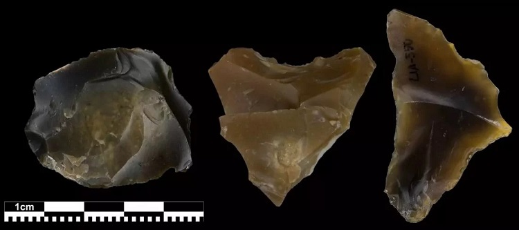 Avrupa’nın Kuzeyinde Son Buzul Çağı’nda Yaşayan Neandertaller Hakkında Yeni Bilgiler