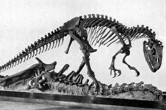 Dev Dinozor Leşleri, Yırtıcılar İçin Önemli Bir Besin Kaynağıydı