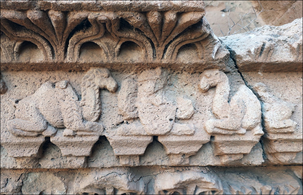 Lat Tapınağındaki kabartma Arapların Süper Deve ürettiğini gösteriyor