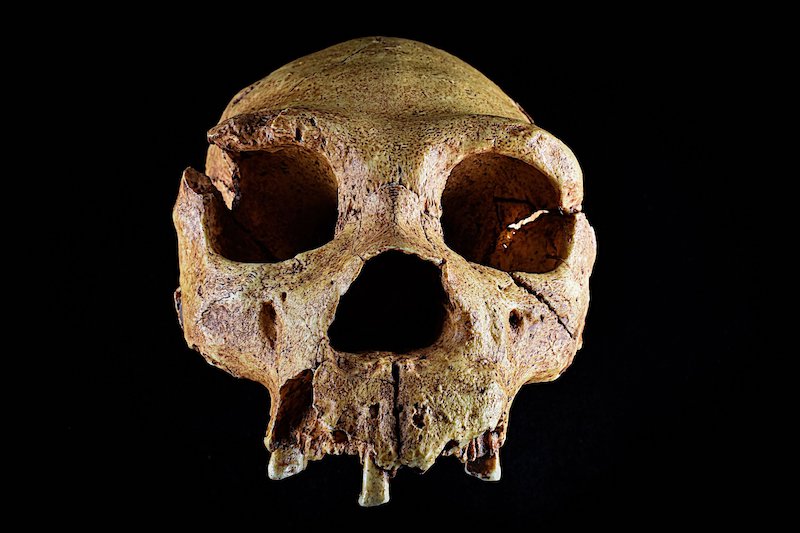 Britanya’nın İlk Sakinlerine Ait 600.000 Yıllık Kanıtlar Bulundu
