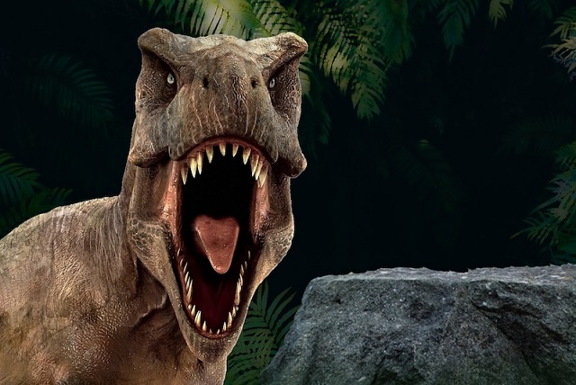 Bir Dinozorun Tipik Yaşam Süresi Ne Kadardı?