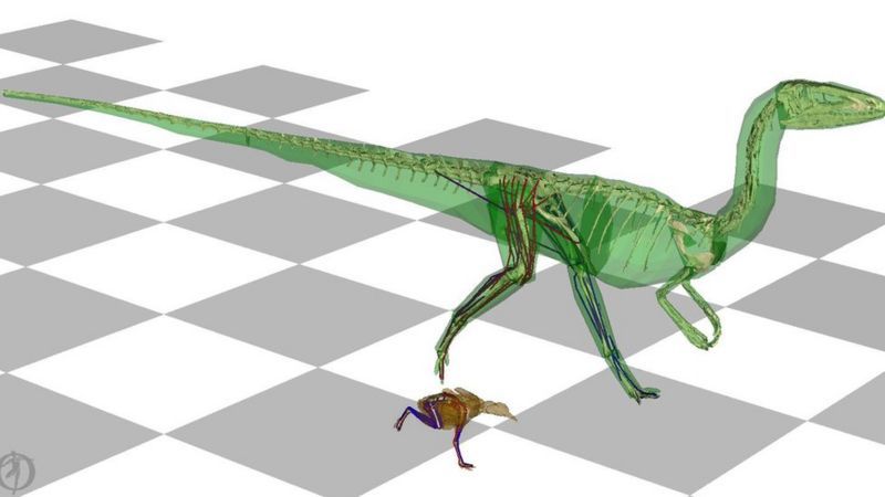 Dinozorlar Daha Hızlı Koşabilmek için Kuyruklarını Sallıyordu