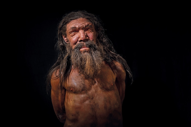 Neandertallerin Dünyasına Bir Bakış