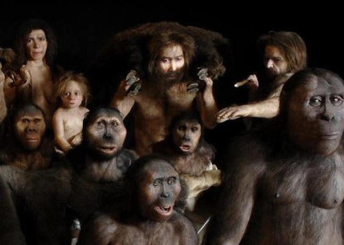 Homo Sapiens, Diğer Türlerden Daha mı Üstündü?