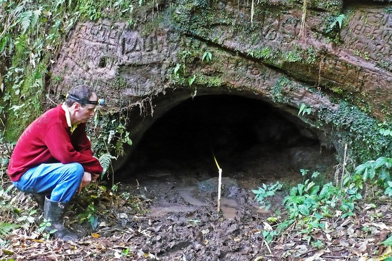 Brezilya’daki Bu Tünel, Dev Tembel Hayvan Tarafından Kazılmış