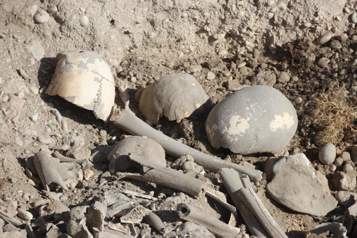 Van'da Demir Çağı'na ait insan kemikleri, seramik ve çömlek parçaları bulundu