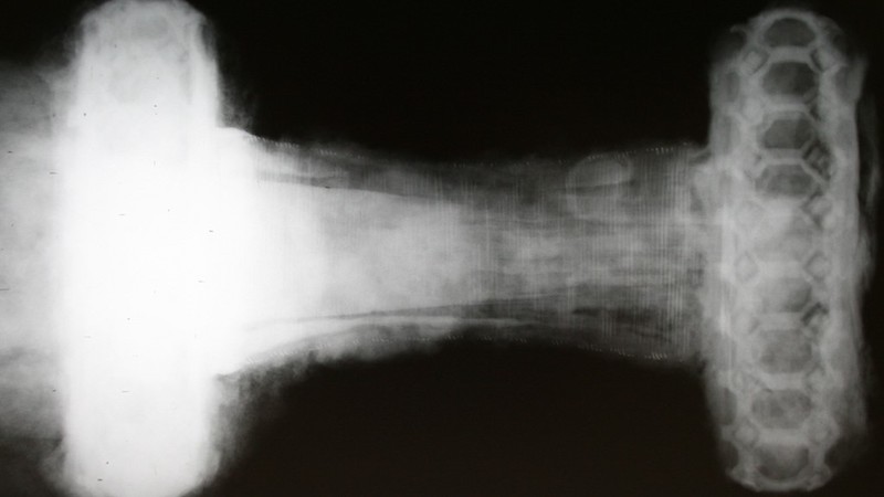 X-ışınları, Paslı Viking Kılıcını Ortaya Çıkardı