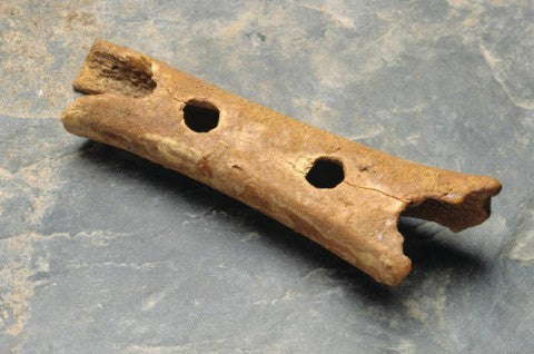 43.000 Yıllık Dünyanın En Eski Enstrümanı Neandertal Flütünü Dinleyin