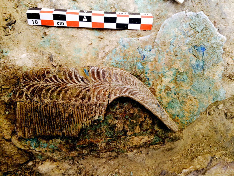 3500 Yıllık Savaşçı Mezarındaki İlginç Ölü Hediyeleri İncelendi