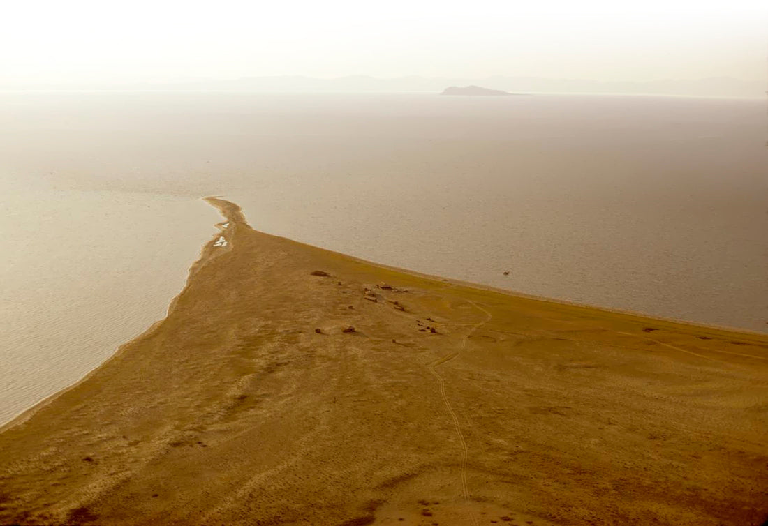 Koobi Fora’da Bulunan Fosiller Erken İnsanların Çeşitliliğini Gösteriyor