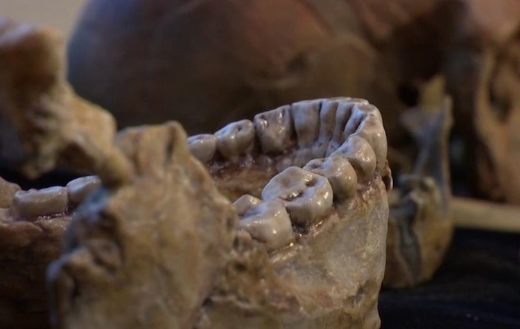 Fas’ta Bulunan 300.000 Yıllık Homo Sapiens’ten Öğrendiğimiz 7 Bilgi