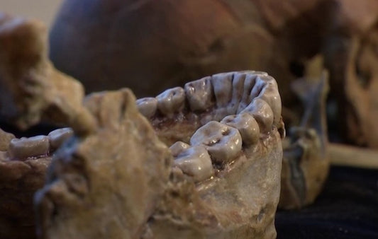 Fas’ta Bulunan 300.000 Yıllık Homo Sapiens’ten Öğrendiğimiz 7 Bilgi