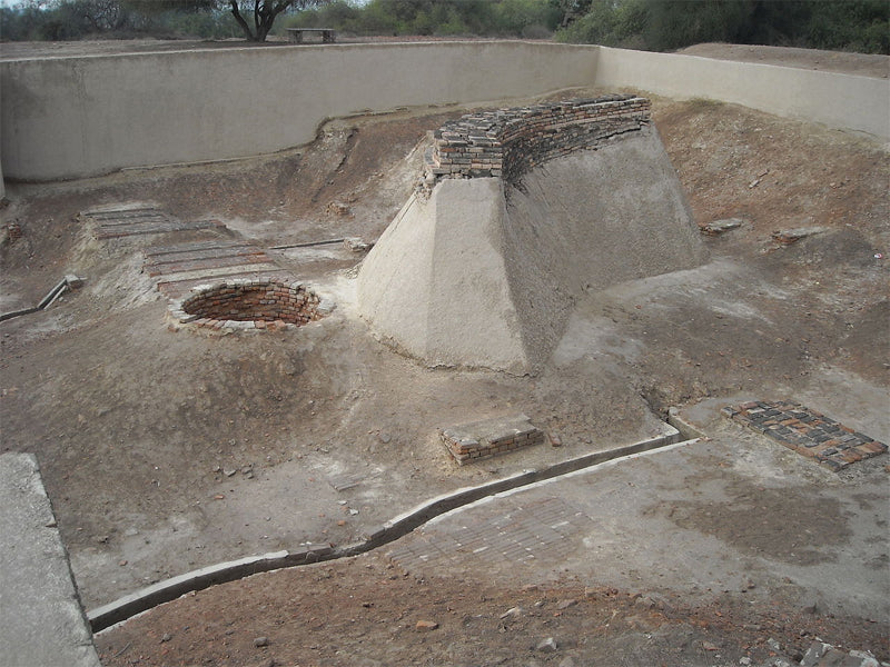 Antik Harappa Kenti İnsanlarının Dişleri Göçmen Olduklarını Gösteriyor