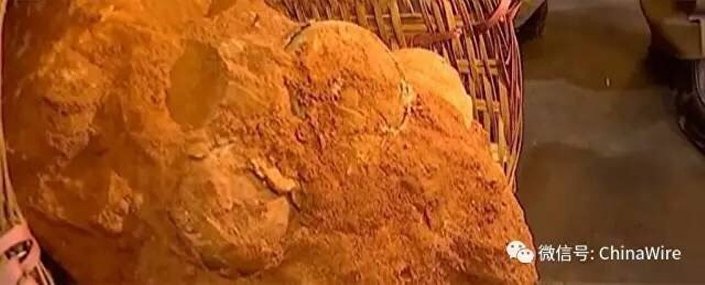 Çin’de 70 milyon yıllık dinozor yumurtaları