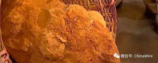 Çin’de 70 milyon yıllık dinozor yumurtaları