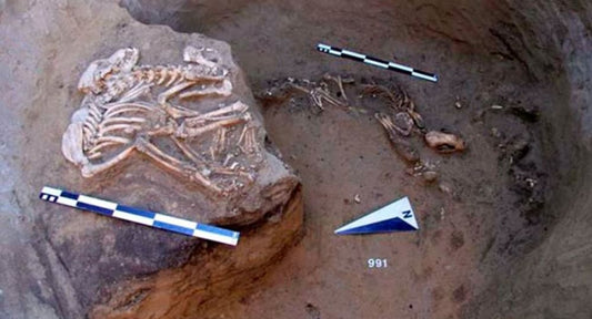 Sibirya’da Cilalı Taş devrine ait eşsiz ibadet eşyaları bulundu