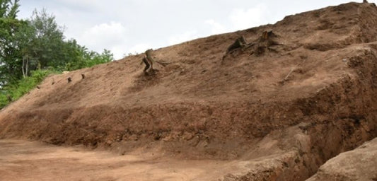 Güney Kore'de toprak surla çevrili saray kalıntısı bulundu