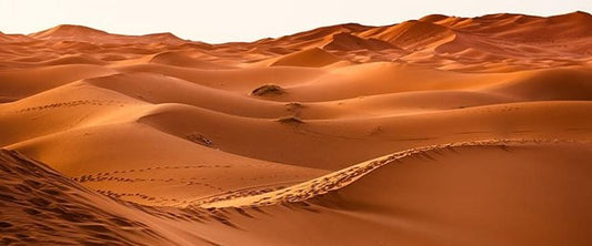 Suudi Arabistan’da 85 bin yıllık insan keşfi
