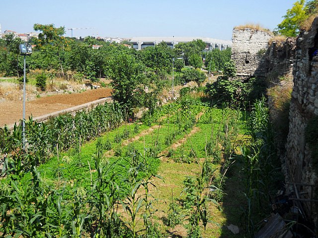 Yedikule Bostanları Yıkımdan Kurtuldu