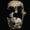 Homo naledi Bize Ne Anlatıyor?