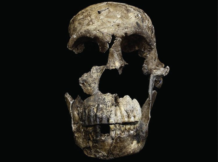 Homo naledi Bize Ne Anlatıyor?