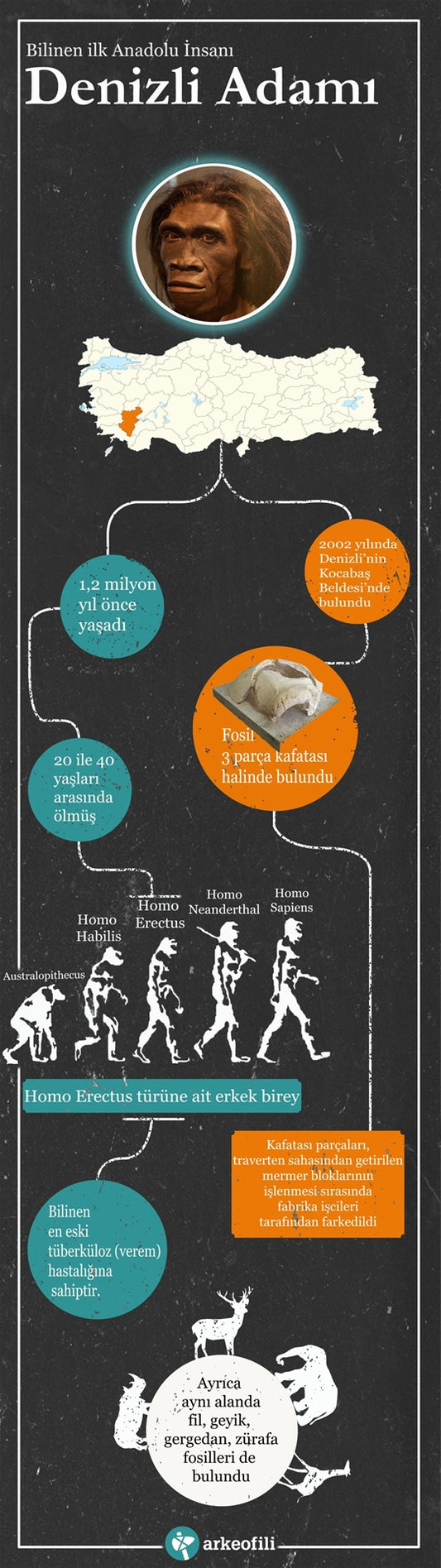 Anadolu’nun Bilinen İlk İnsanı: Denizli Adamı İnfografik