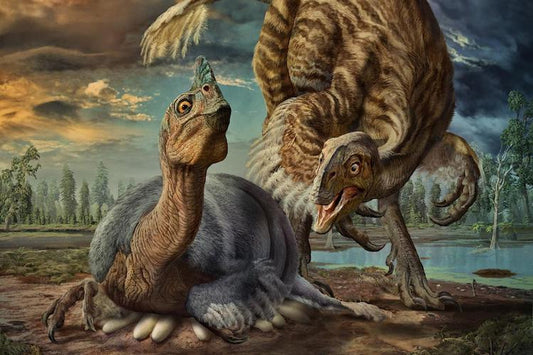 Dev Yumurtanın İçinde ‘Bebek Ejderha’ Dinozoru Bulundu