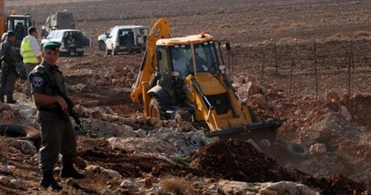 Filistin’de Onlarca Anıt Zeytin Ağacı İsrail Askerlerince Yıkıldı
