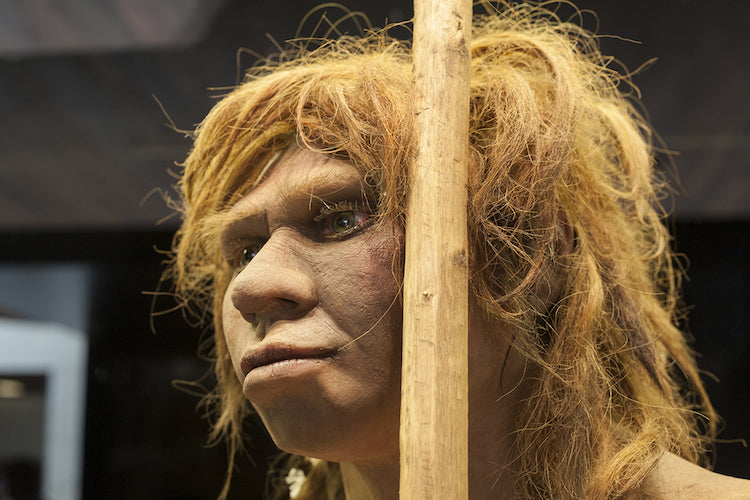 HPV, Modern İnsanın Neandertal ve Denisovalılarla Melezlenmesinden Geliyor